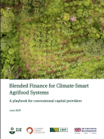 Blended  finance for climate 